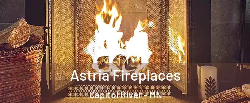 Astria Fireplaces Capitol River - MN