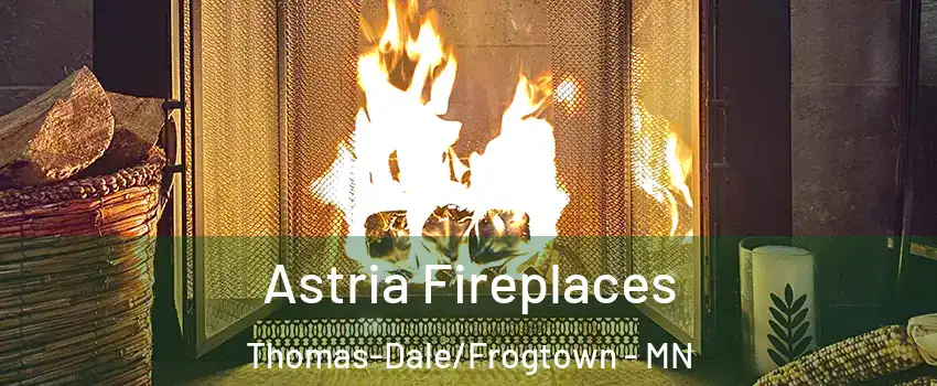 Astria Fireplaces Thomas-Dale/Frogtown - MN