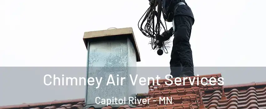 Chimney Air Vent Services Capitol River - MN
