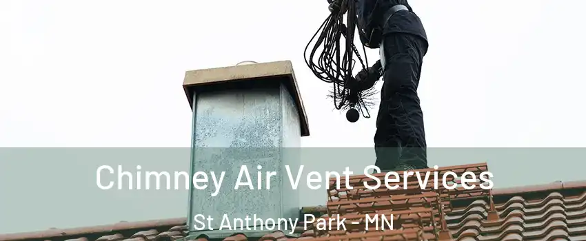 Chimney Air Vent Services St Anthony Park - MN