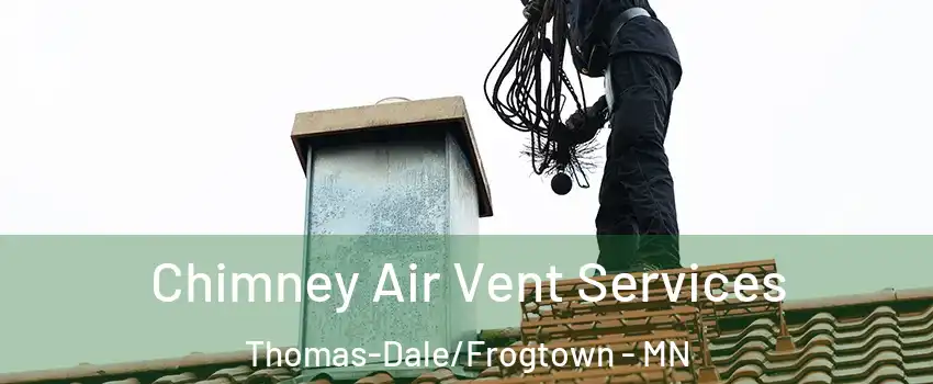 Chimney Air Vent Services Thomas-Dale/Frogtown - MN