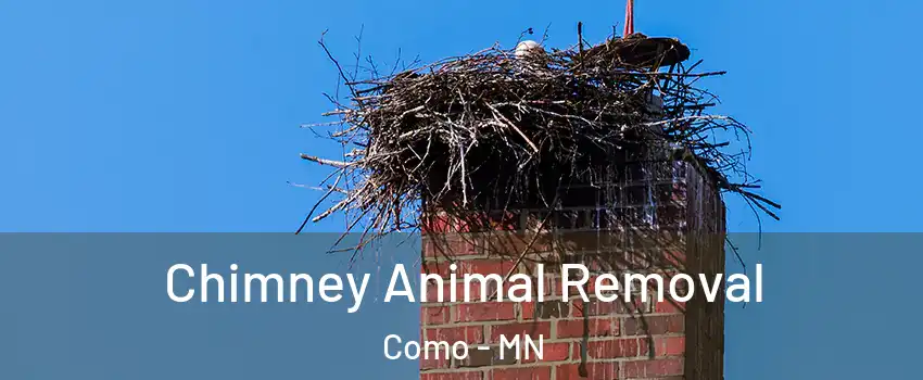 Chimney Animal Removal Como - MN