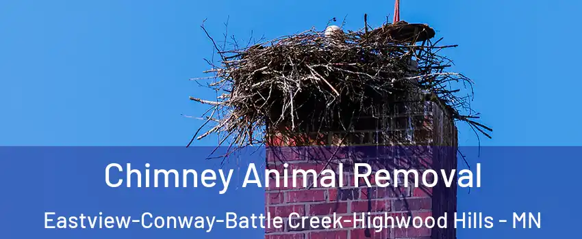 Chimney Animal Removal Eastview-Conway-Battle Creek-Highwood Hills - MN