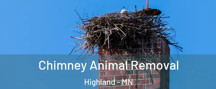 Chimney Animal Removal Highland - MN