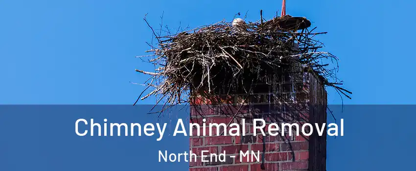 Chimney Animal Removal North End - MN