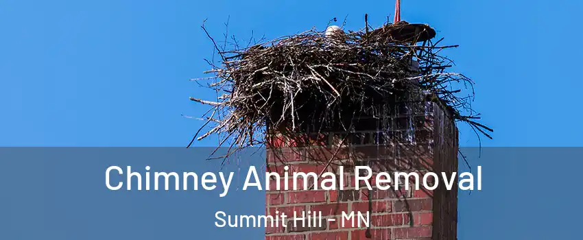 Chimney Animal Removal Summit Hill - MN
