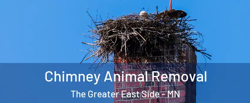Chimney Animal Removal The Greater East Side - MN
