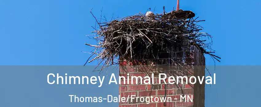 Chimney Animal Removal Thomas-Dale/Frogtown - MN