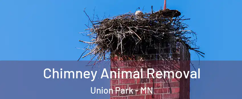 Chimney Animal Removal Union Park - MN