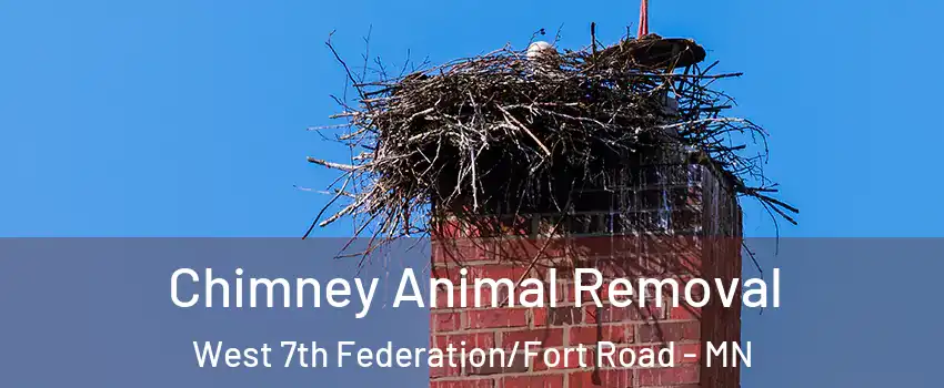 Chimney Animal Removal West 7th Federation/Fort Road - MN