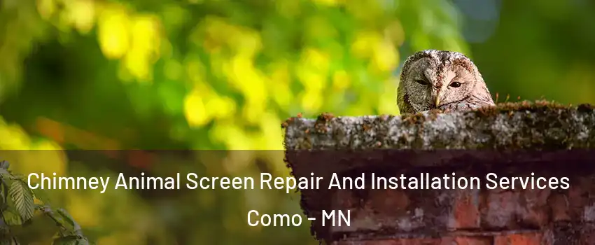 Chimney Animal Screen Repair And Installation Services Como - MN