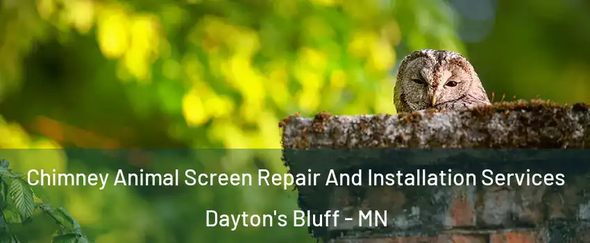 Chimney Animal Screen Repair And Installation Services Dayton's Bluff - MN