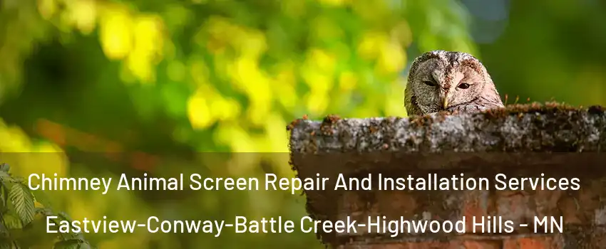 Chimney Animal Screen Repair And Installation Services Eastview-Conway-Battle Creek-Highwood Hills - MN