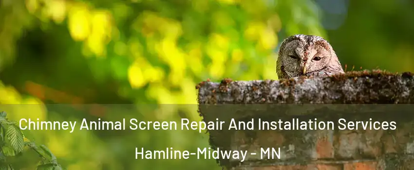 Chimney Animal Screen Repair And Installation Services Hamline-Midway - MN