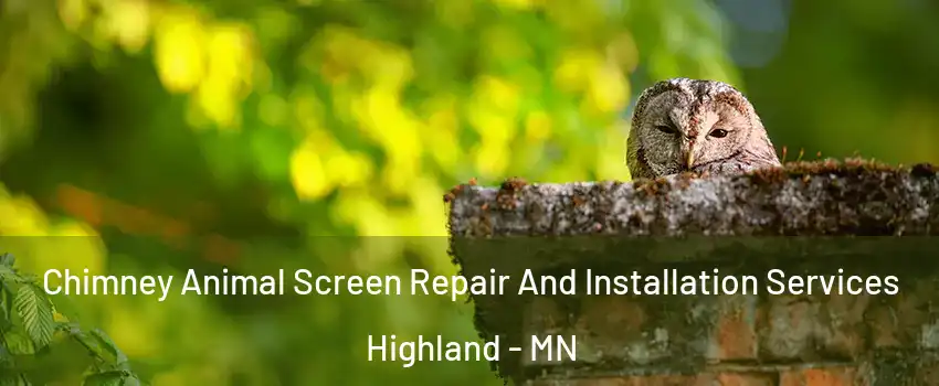 Chimney Animal Screen Repair And Installation Services Highland - MN