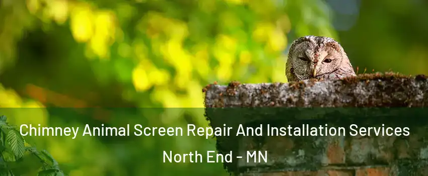 Chimney Animal Screen Repair And Installation Services North End - MN