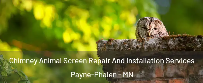 Chimney Animal Screen Repair And Installation Services Payne-Phalen - MN