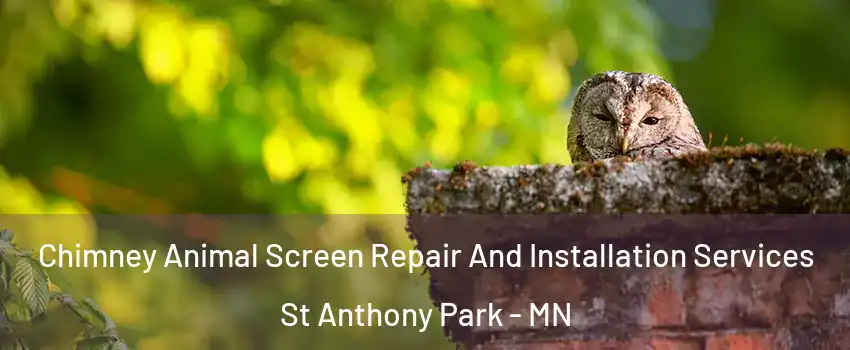 Chimney Animal Screen Repair And Installation Services St Anthony Park - MN