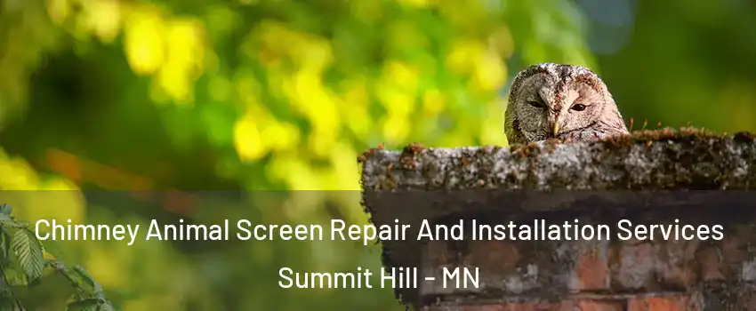 Chimney Animal Screen Repair And Installation Services Summit Hill - MN
