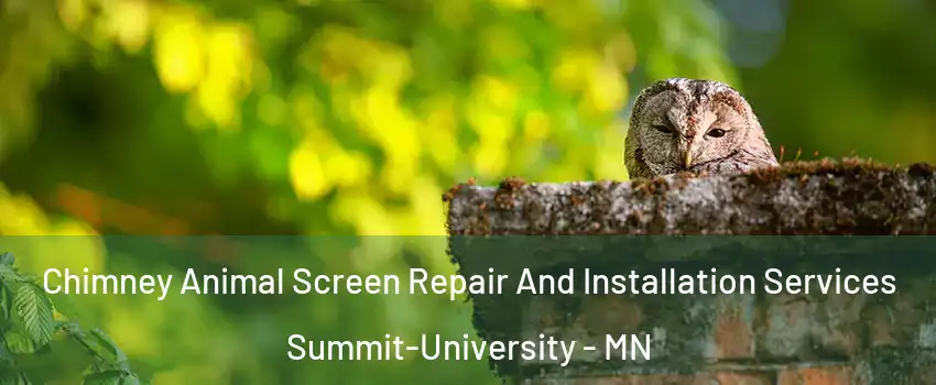 Chimney Animal Screen Repair And Installation Services Summit-University - MN