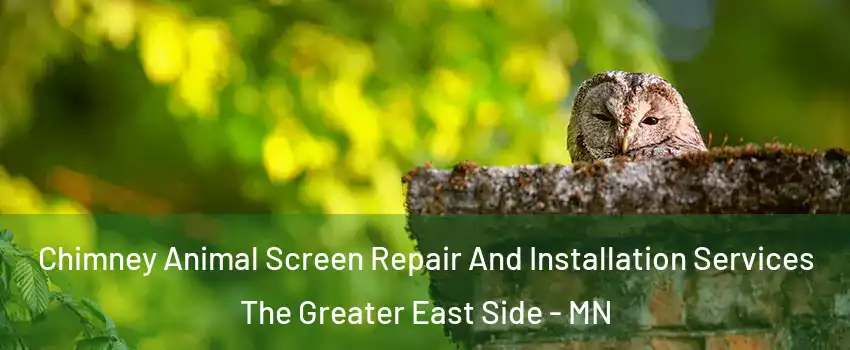 Chimney Animal Screen Repair And Installation Services The Greater East Side - MN