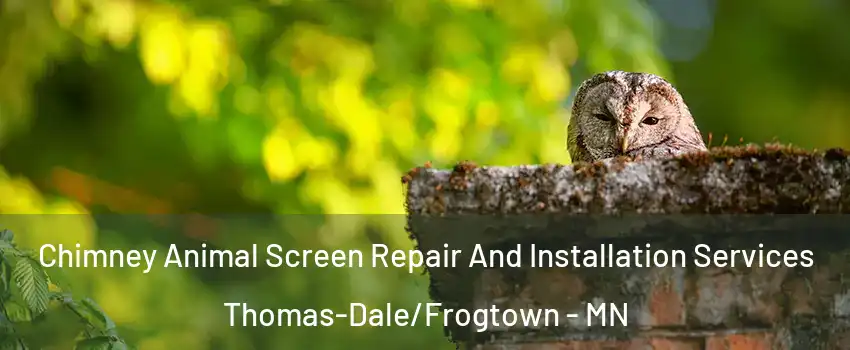 Chimney Animal Screen Repair And Installation Services Thomas-Dale/Frogtown - MN