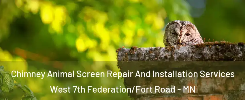 Chimney Animal Screen Repair And Installation Services West 7th Federation/Fort Road - MN