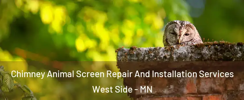 Chimney Animal Screen Repair And Installation Services West Side - MN