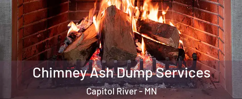 Chimney Ash Dump Services Capitol River - MN