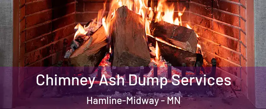 Chimney Ash Dump Services Hamline-Midway - MN