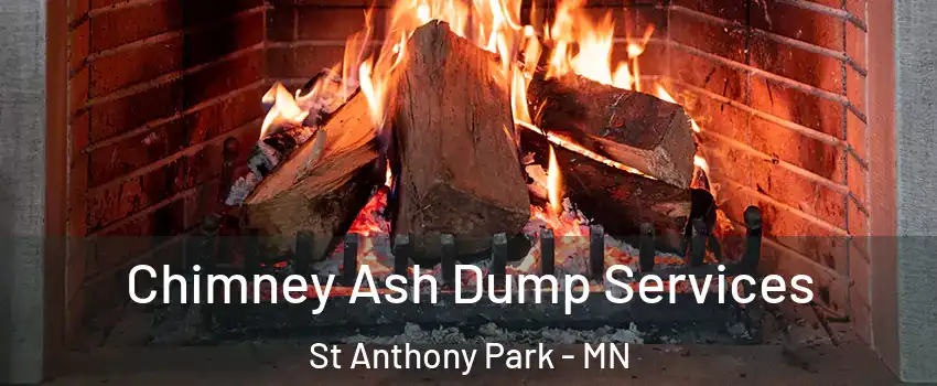 Chimney Ash Dump Services St Anthony Park - MN