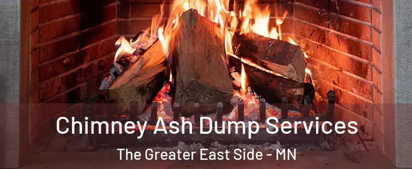 Chimney Ash Dump Services The Greater East Side - MN