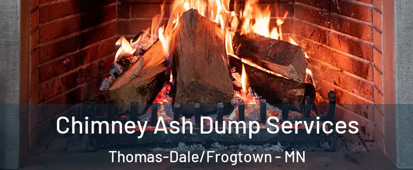 Chimney Ash Dump Services Thomas-Dale/Frogtown - MN