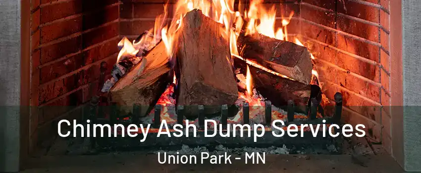 Chimney Ash Dump Services Union Park - MN