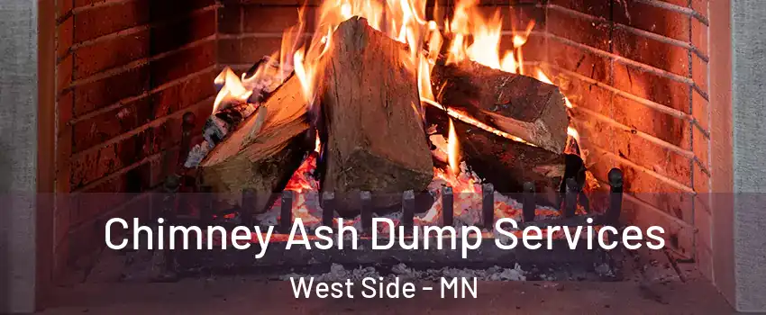 Chimney Ash Dump Services West Side - MN