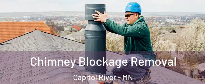 Chimney Blockage Removal Capitol River - MN