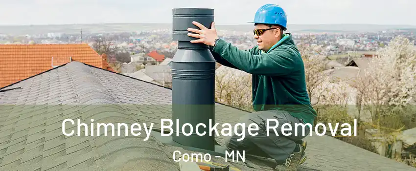 Chimney Blockage Removal Como - MN