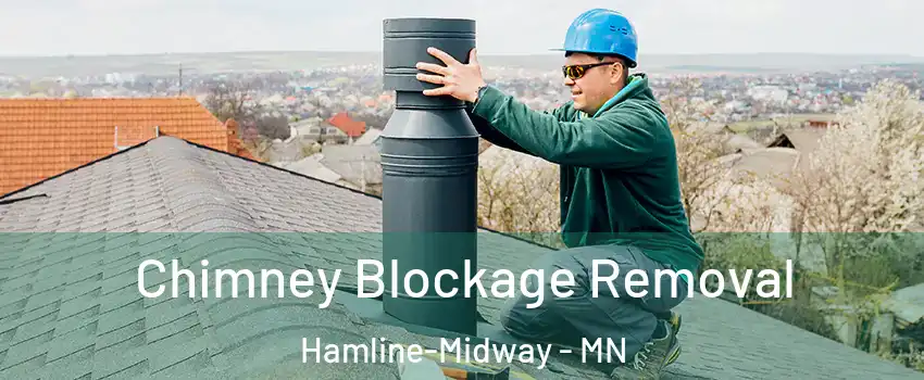 Chimney Blockage Removal Hamline-Midway - MN