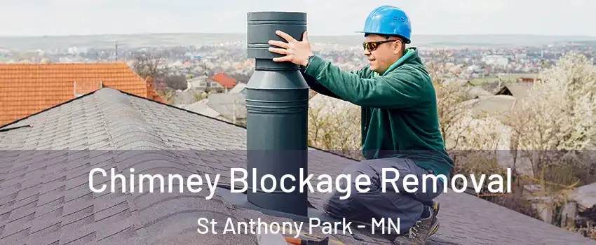 Chimney Blockage Removal St Anthony Park - MN