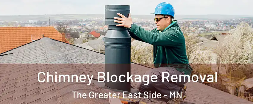 Chimney Blockage Removal The Greater East Side - MN