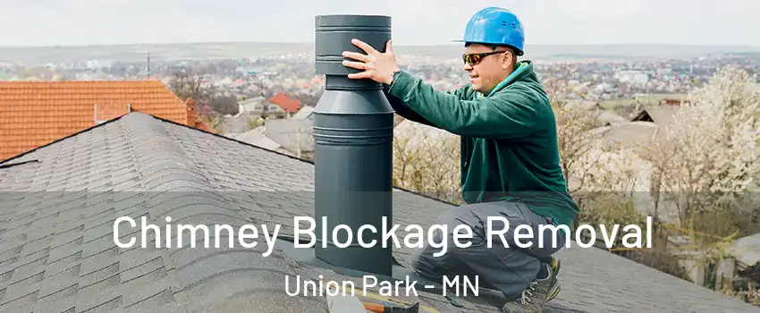 Chimney Blockage Removal Union Park - MN