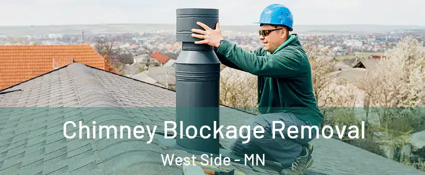 Chimney Blockage Removal West Side - MN