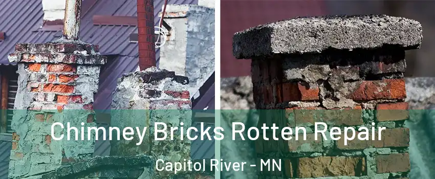 Chimney Bricks Rotten Repair Capitol River - MN