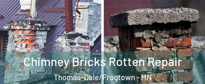 Chimney Bricks Rotten Repair Thomas-Dale/Frogtown - MN