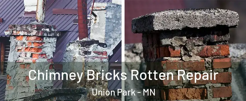 Chimney Bricks Rotten Repair Union Park - MN