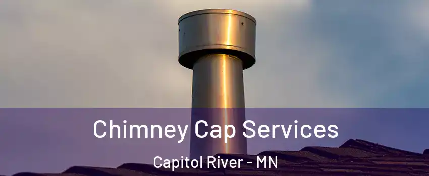Chimney Cap Services Capitol River - MN