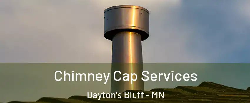 Chimney Cap Services Dayton's Bluff - MN
