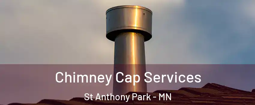 Chimney Cap Services St Anthony Park - MN