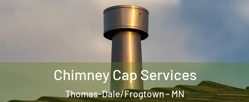 Chimney Cap Services Thomas-Dale/Frogtown - MN