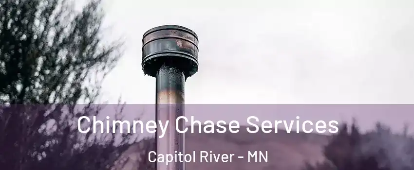 Chimney Chase Services Capitol River - MN